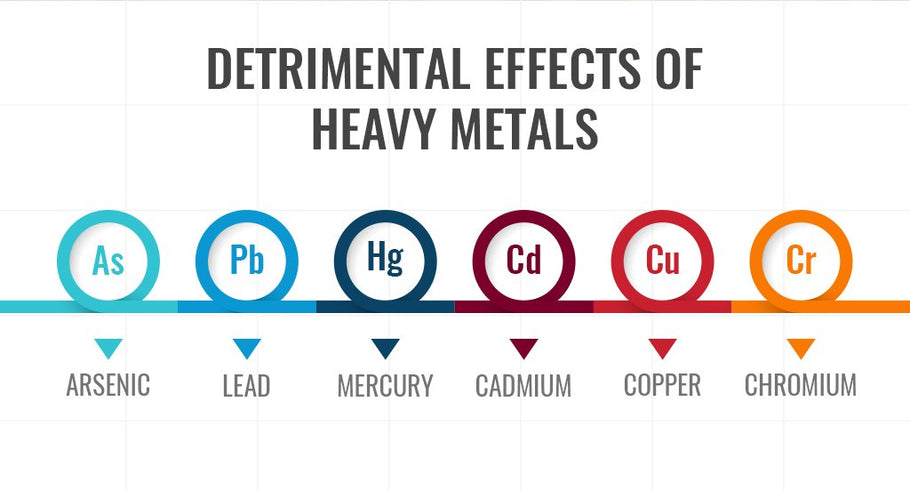 Why Heavy Metals Are Bad & What You Can Do